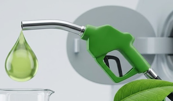 Centre dismisses reports of E-25 petrol rollout: Report