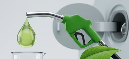 Centre dismisses reports of E-25 petrol rollout: Report