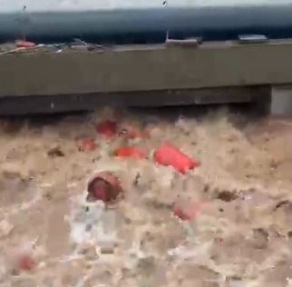 Maha monsoon fury: Around 3,000 LPG cylinders swept into river in Raigad after HPCL plant wall collapses