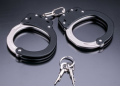 Man held after Indian American wife killed, son shot in US
