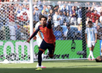 FIFA: Torres’ extra-time heroics fire Spain to World Cup glory