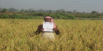 soil health cards