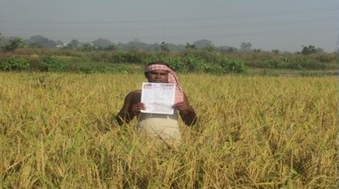 soil health cards