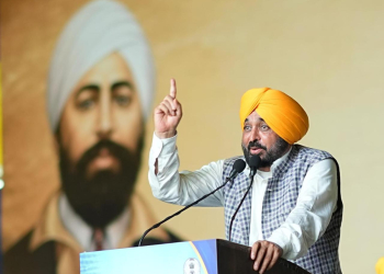 AAP Govt Firmly Committed to Fulfilling Dreams of Freedom Fighters Who Made Supreme Sacrifices for Nation: CM Bhagwant Singh Mann