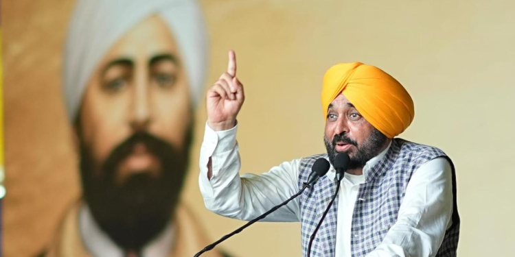 AAP Govt Firmly Committed to Fulfilling Dreams of Freedom Fighters Who Made Supreme Sacrifices for Nation: CM Bhagwant Singh Mann