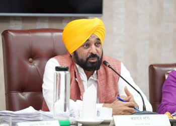 Bhagwant Mann Govt Waives Power Bills for All Gau Shalas Across Punjab