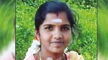 dengue deaths