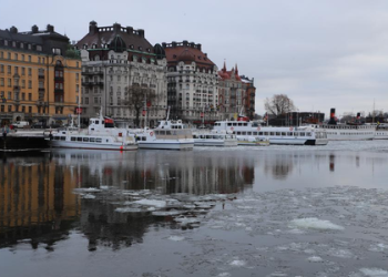 Thousands march in Stockholm for stronger climate action ahead of election