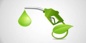 No move to replace E20 petrol with E10: BPCL chief