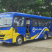 Bhagwant Mann Govt to Add 100 World-Class 'PRTC JUNIOR' Buses to Fleet in 1 Month to Boost Rural Transport: Harpal Singh Cheema