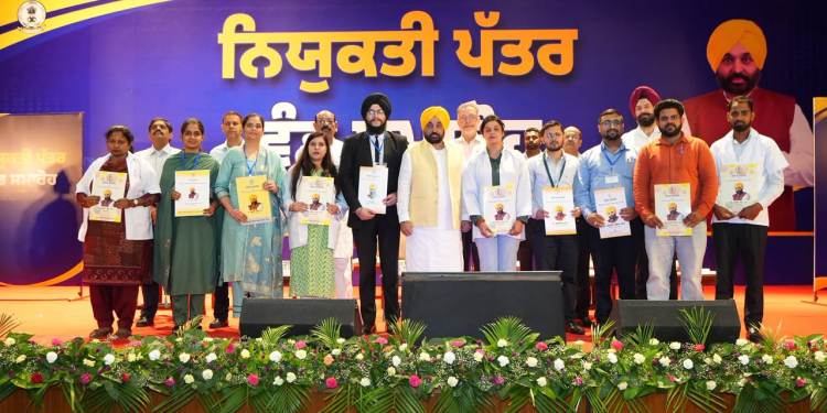 Punjab’s Own IPL; Top Players To Feature In Sher-e-Punjab T20 League From August 30 To September 13: CM Bhagwant Singh Mann