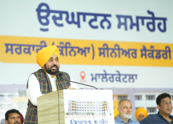 PUNJAB GOVT TO ILLUMINATE ALL VILLAGES WITH 3 LAKH SOLAR STREETLIGHTS WORTH ₹470-CR: AMAN ARORA