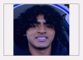 Indian-American teen murders mother, brother in US home; searched ideas about killing family