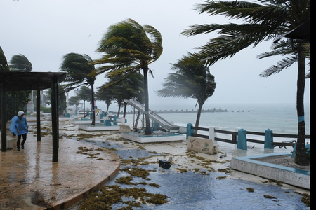 Hawaii under state of emergency as Hurricane Lowell strengthens