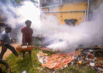 Dengue, swine flu cases surge in Tamil Nadu; doctors urge vigilance ahead of monsoon