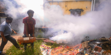 Dengue, swine flu cases surge in Tamil Nadu; doctors urge vigilance ahead of monsoon