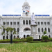 Chennai Corporation vaccinates over one lakh stray dogs against rabies
