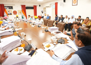 Under Leadership of CM Bhagwant Singh Mann, Punjab Cabinet Gives Major Relief to Patwaris & Kanungos; Restores District-Level Cadre to Ensure Administrative Efficiency
