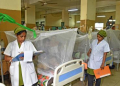 Dengue surge