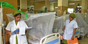 Dengue surge