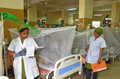Dengue surge